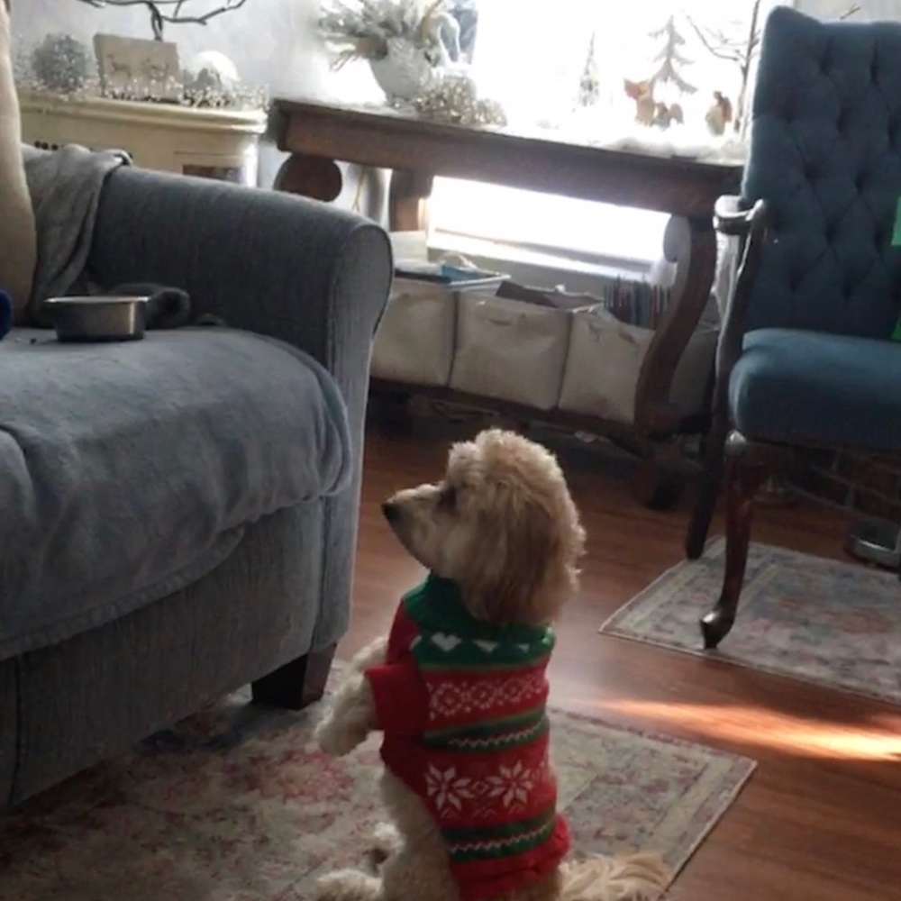 Meet your Posher, Arletta